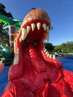 Maison de rebond de dinosaure personnalisé toboggan aquatique Combo videur gonflable commercial Double toboggan Piscine Air Jumper Jumping Castle