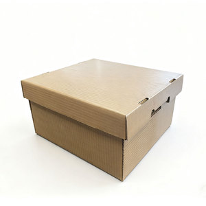 Boîtes d'expédition <span class=keywords><strong>pour</strong></span> plantes résistantes à l'humidité, cirées, <span class=keywords><strong>pour</strong></span> <span class=keywords><strong>semis</strong></span> de pépinière, fleurs <span class=keywords><strong>en</strong></span> <span class=keywords><strong>pot</strong></span>, transport - Product Image 2