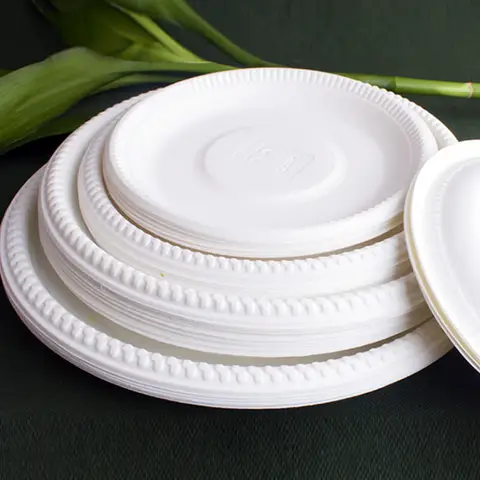 Corn Starch Biodegradable Plate Cheap Sandwich Platters Square Disposable Dinner Plates