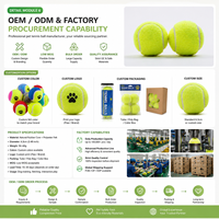 Starter SKU 6.3cm Ballon de tennis pour chien à rebond élevé pour le jeu en parc, les récompenses d'entraînement et l'exercice actif