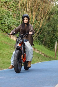 Motocicleta Eléctrica Todoterreno Estilo Motocross, Motor sin Escobillas de 2000W, Batería de Litio de 48V, Suspensión Hidráulica, Aventura Urbana - Product Image 2