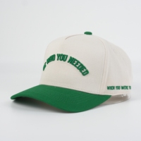 Unisex baseballcap 100% katoen handborduurwerk fruit tropische Europese en Amerikaanse stijl ODM groothandel