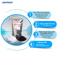 Poudre DTF Kenteer thermofusible blanche, haute élasticité, sac de 25 kg, gomme adhésive TPU pour impression par transfert thermique sur T-shirt DTF