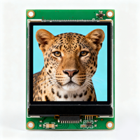Module LCD TFT personnalisé 480x272 avec écran tactile résistif et rétroéclairage LED pour lecteur multimédia portable avec entrée vidéo