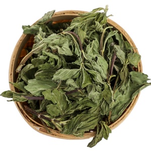 Vente en gros feuille de <span class=keywords><strong>menthe</strong></span> <span class=keywords><strong>tisane</strong></span> feuilles de <span class=keywords><strong>menthe</strong></span> séchées en vrac pour le thé - Product Image 1