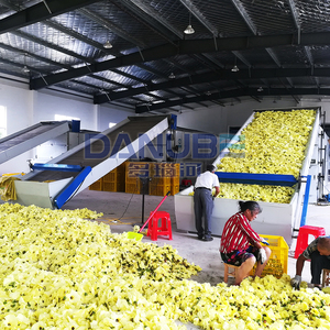 Large Scale Automatic Leaves Dehydrated Rosemary Dryer Celery Drying Equipment Coriander Drying Equipment - Product Image 6