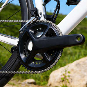 Bicicleta de Carretera de Fibra de Carbono Di2 Ultegra 2x12 con Frenos de Disco, Neumáticos Schwalbe, Cambio Confiable, LW-ROAD-14 - Product Image 4