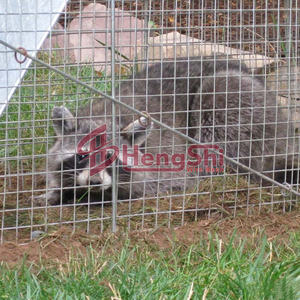 Inşaat ve endüstriyel kullanım için galvanizli çelik kaynaklı tel örgü Panel kare delik - Product Image 6