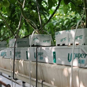 UPuper CS75 Lastra di Lana di Roccia per <span class=keywords><strong>Pepino</strong></span>/Peperone/Pomodoro, Substrato Agricolo per Sistema di Coltivazione Indoor, Lastre di Lana di Roccia per Coltivazione Idroponica - Product Image 5