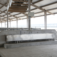 Structure en acier personnalisée pour l'élevage automatisé de bovins et de moutons