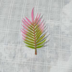 <b>Artificial</b> Plant Single-Branch Fan-Tail Grass Plastic Craft Floral <b>Arrangement</b> Aquatic Plant <b>Flower</b>-Type Accessory Model HY-1 - Product Image 2