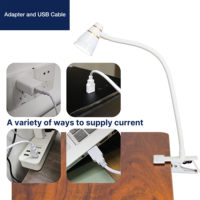 Lampe à pince LED USB moderne à expédition rapide, flexible, réglable, protection oculaire, design simple, pour hôtel, bureau, maison, table de manucure