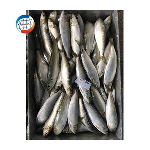 <span class=keywords><strong>Sardinas</strong></span> Enteras Congeladas <span class=keywords><strong>de</strong></span> Alta Calidad WR 12-20 piezas/<span class=keywords><strong>kg</strong></span> IQF Exportación <span class=keywords><strong>Sardinas</strong></span> Baratas - Product Image 1