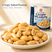 Cacahuètes Salées Grillées Décortiquées Blanchies Croustillantes – Snacks Riches en Protéines pour Bars et Fêtes – Vente en Gros
