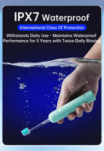 Osilasi terbaik sikat gigi listrik sonik grosir sikat gigi listrik otatif sikat gigi Ultra bulu - Product Image 5