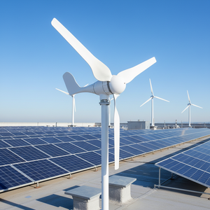 Aerogeneradores de Eje Horizontal Pequeños para Uso Doméstico de 500W 600W, Generador Eólico de Techo con Salida Trifásica AC M2 600W Wind H - Product Image 5