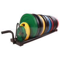 Supports de rangement mobiles robustes en métal écologique pour plaques de musculation, usage commercial et domestique, pour salle de sport
