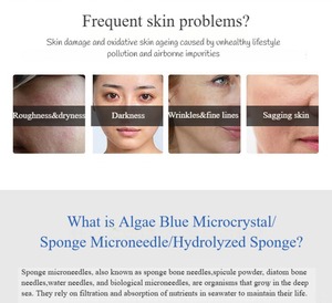 Polvere Esfoliante Naturale di Alghe Professionale, Polvere di <span class=keywords><strong>Bio</strong></span> Spicule per Trattamento Anti-Acne e Anti-Età per Studi di Cura della Pelle - Product Image 5