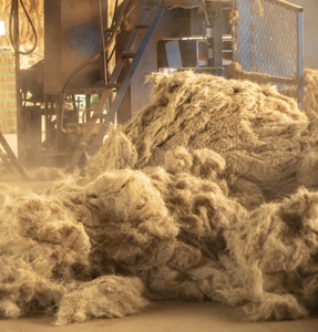 Fibra de coco cruda 5-25cm, 3% impurezas, sin tierra ni cáscara, pacas de 100kg para aplicaciones ecológicas - Product Image 1