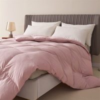 Accueil Hôtel Accepter Couettes et édredons en duvet King Size Remplissage Hôtel Été Luxe Ensemble de literie Couette