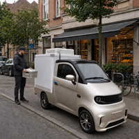 Camion de livraison, fourgonnette électrique à 4 roues, monoplace, pour le transport de denrées alimentaires, avec compartiment frigorifique, homologué CEE, personnalisable