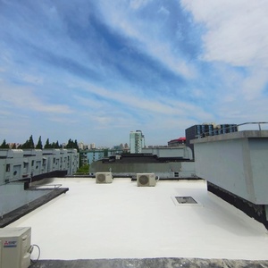 Rivestimento Spray in Poliurea Alifatica per Impermeabilizzazione e <span class=keywords><strong>Isolamento</strong></span> Edifici - Product Image 2