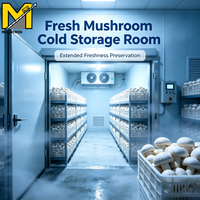 Serre de culture de champignons sur mesure, conçue pour la culture et le stockage de champignons shiitake en intérieur.