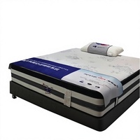 Kasur Ortopedi Mewah Berkualitas Tinggi Desain Modern Grosir dalam Kotak Ukuran Single Twin King Pocket Spring Memory Foam