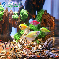 Aquarium écologique de bureau, aquarium domestique en plastique transparent de grande capacité pour l'aménagement paysager du salon