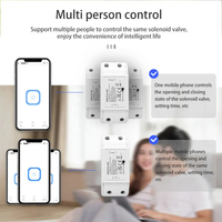 Katup Bola Listrik 2 Arah 3/4" dengan Kontrol Jarak Jauh WiFi untuk Air, Konstruksi Kuningan yang Dapat Disesuaikan OEM