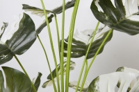 Plantes artificielles de mongolie, 1 pièce 80cm, arbre avec dégradé, bonsaï d'intérieur pour décoration de maison et mariage