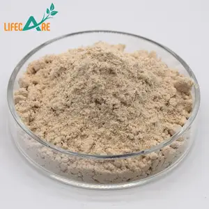 Professional Supply Freeze-dried Probiotics Powder Bacillus Coagulans Probiotic