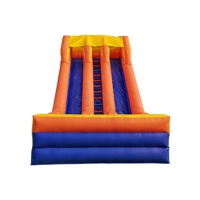 Toboggan gonflable commercial à double piste pour parcs d'attractions - Certifié CE, capacité inférieure à 30 kg, 3-5 passagers
