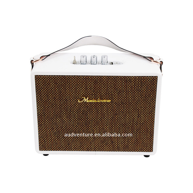 Audventure Portable Bluetooth Speaker