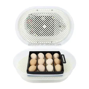 TUOYUN Good Quality Incubators Chicken Mini Pcs Sale 8 Egg Incubator 12 Eggs