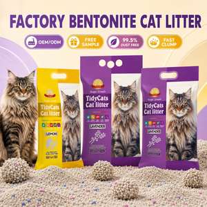 Producto en Tendencia 2026 Arena para Gatos de Bentonita Sin Polvo 5L 10L para Distribuidor OEM - Product Image 1