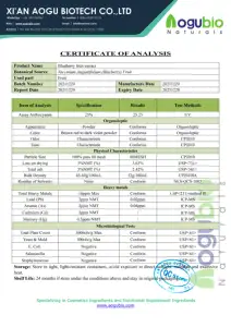 Aogubio供給フルーツエキス粉末有機ブルーベリー粉末