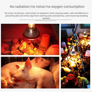 Новая инфракрасная лампа 220 В, ночные тепловые огни для рептилий, домашних животных, птенцов, рептилий, дневная лампочка, оборудование для животноводства - Product Image 6