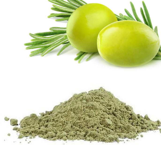 High quality Glossy Privet Fruit Olive Leaf Extract Oleanolic acid