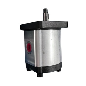 Pompe à engrenages externe à faible bruit Série PGE PGE101 PGE102 PGE103 Pompe à engrenages hydraulique à déplacement fixe PGE101-500-RBBQ1-N-3700 - Product Image 2