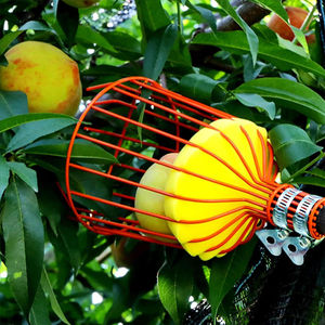 Herramienta telescópica para recoger árboles frutales para recoger naranja, mango, aguacate, limón, pera - Product Image 2