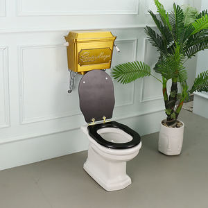 Butterfleoge Rétro Ensemble de toilette deux pièces à mi-niveau Victorien en aluminium Citerne Brevet Design Montage au sol Fermeture lente - Product Image 6