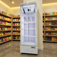 Réfrigérateur vertical commercial 300L à porte vitrée, refroidissement par air, affichage LED, refroidisseur de bière, verrouillage de porte mécanique