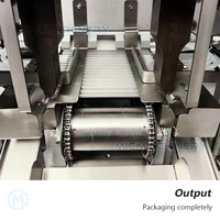 Remplisseur automatique de tube scellant la machine de remplissage de paille de miel de bâton en plastique d'emballage de préchauffage