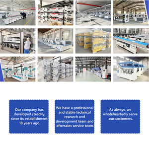 Độ chính xác cao hướng dẫn tuyến tính CNC tự động thông tư Saw trượt Saw và bảng điều khiển Saw kết hợp - Product Image 5