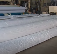 Géotextile non tissé en PP de 150g, 200g, 250g pour le contrôle de l'érosion des pentes et la couche de séparation routière, tissu géotextile tissé