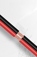 Cable Eléctrico RVB Rojo y Negro de Cobre Trenzado de Alta Calidad 19AWG, Aislado con PVC de 300V para Iluminación LED