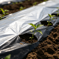 Film de paillage agricole noir en LDPE de 30 microns, pré-perforé, pour la plantation de légumes, marque Bosu, certifié CE, découpe possible