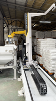 Bras robotisé de déballage de sacs monté sur rail |   Robot de dépalletisation mobile pour alimentation automatique |   25-100 kg/sac, 100-120 sacs/heure