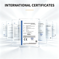 Motocicleta Eléctrica de Turismo DY-FREE 3000W >80km/h 60V/72V Batería LiFePO4 de 70Ah Neumático Grueso Ultra Resistente al Frío para Rusia